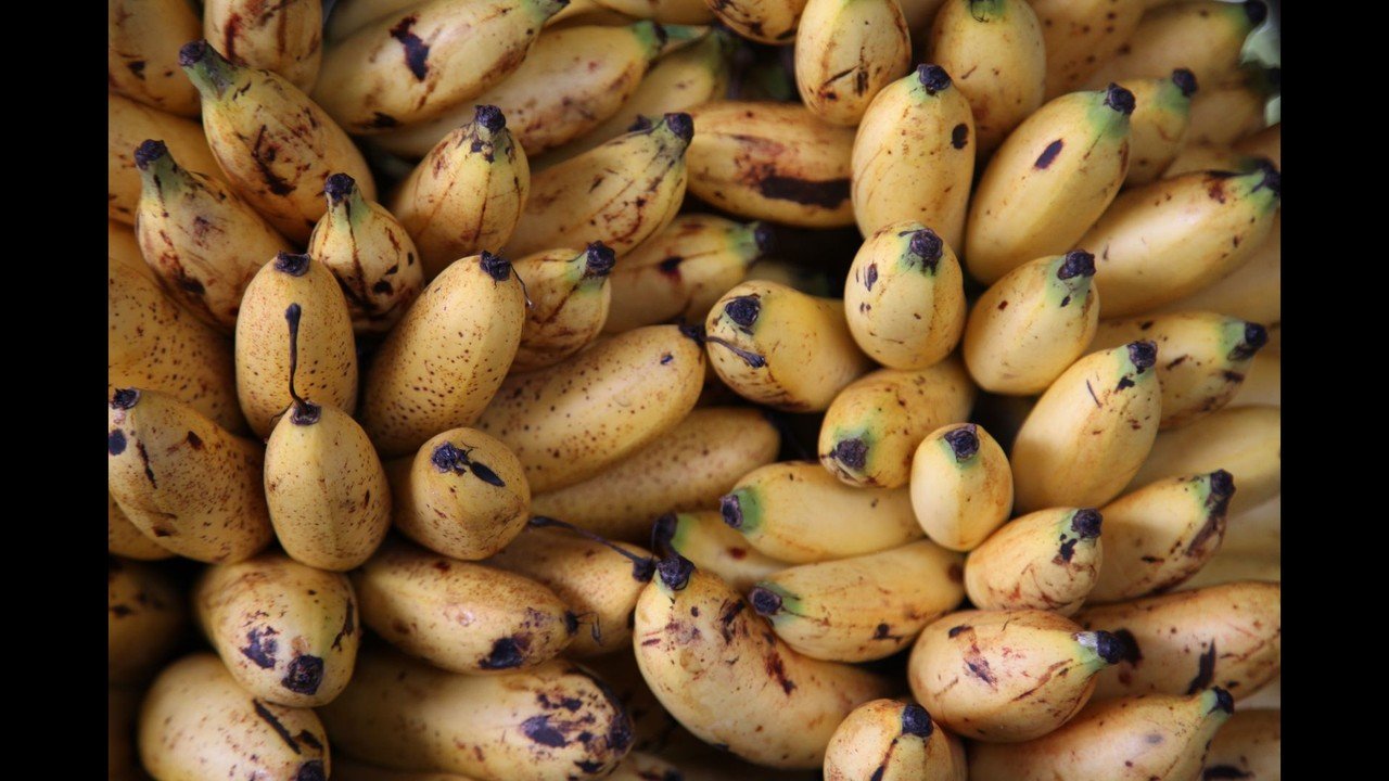 Bananas with brown spots from ripening too fast