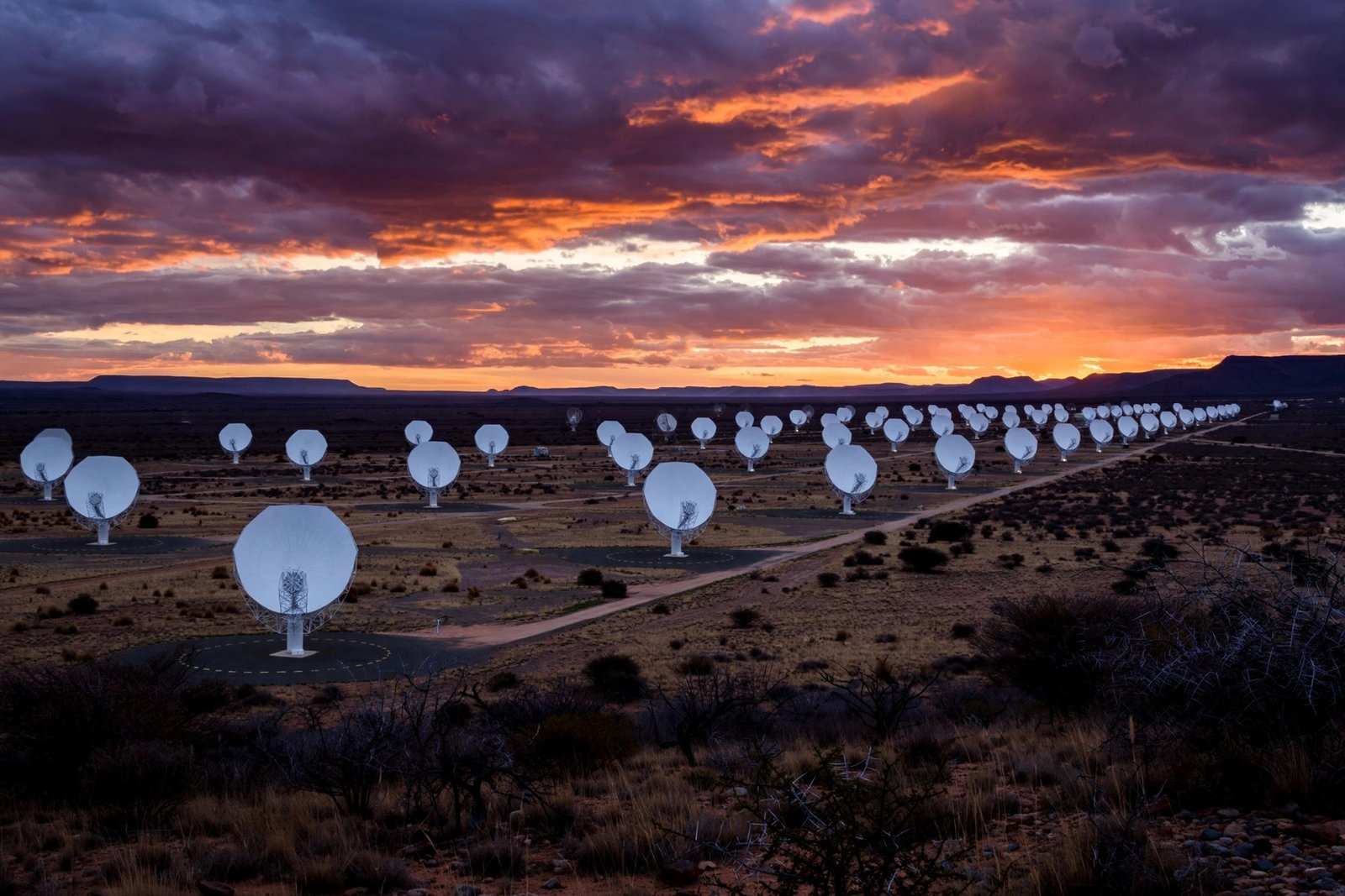 MeerKAT radio telescope array dishes in South Africa's Karoo desert at sunset
